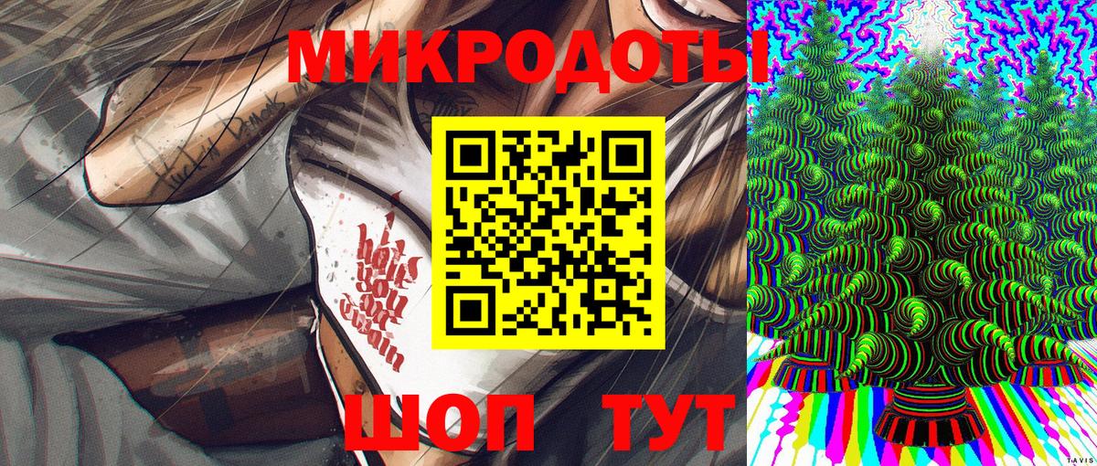 Псилоцибиновые грибы Psilocybe Астрахань