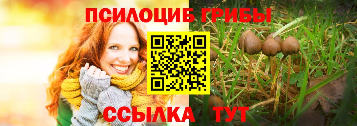 Галлюциногенные грибы GOLDEN TEACHER  Псилоцибиновые грибы Psilocybine cubensis  Вход с VPN  Астрахань 